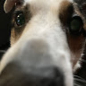 Meet your Posher, Camille